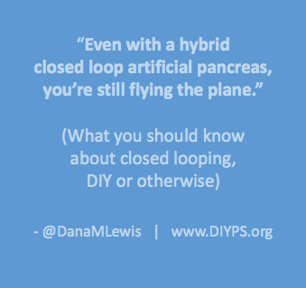 what_to_know_about_looping_danamlewis