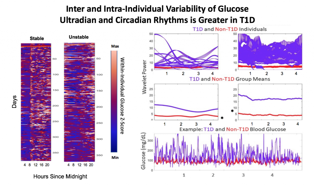 Figure_BiologicalRhythms_Lewis_Grant_ADA2019